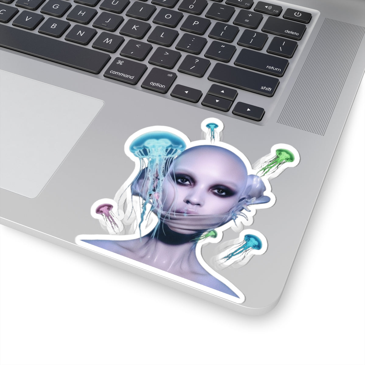 Cheap Hotel
