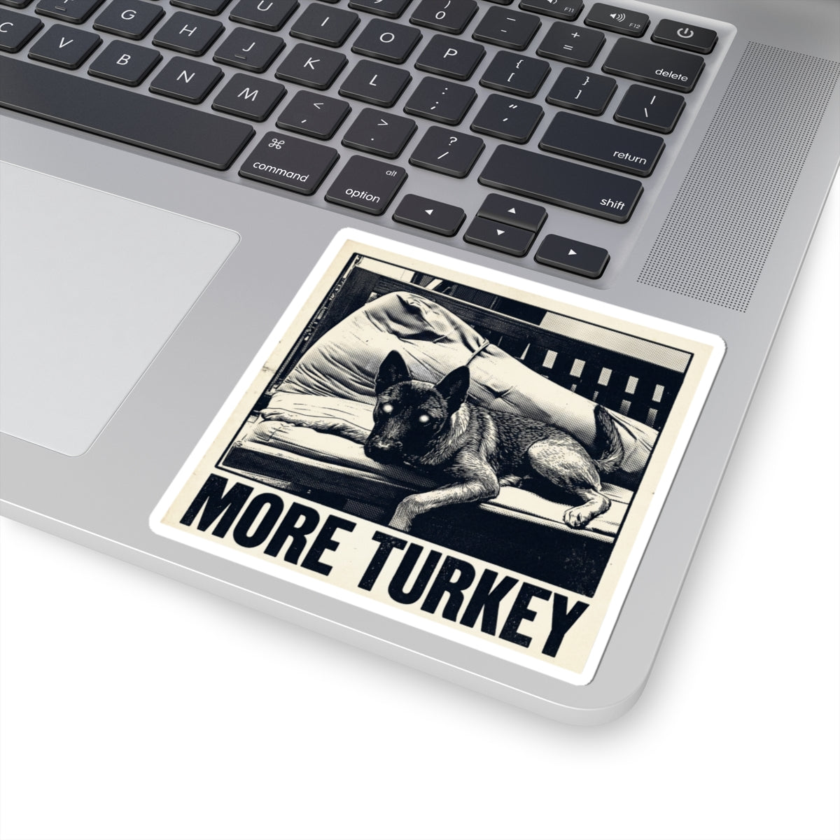 More Turkey