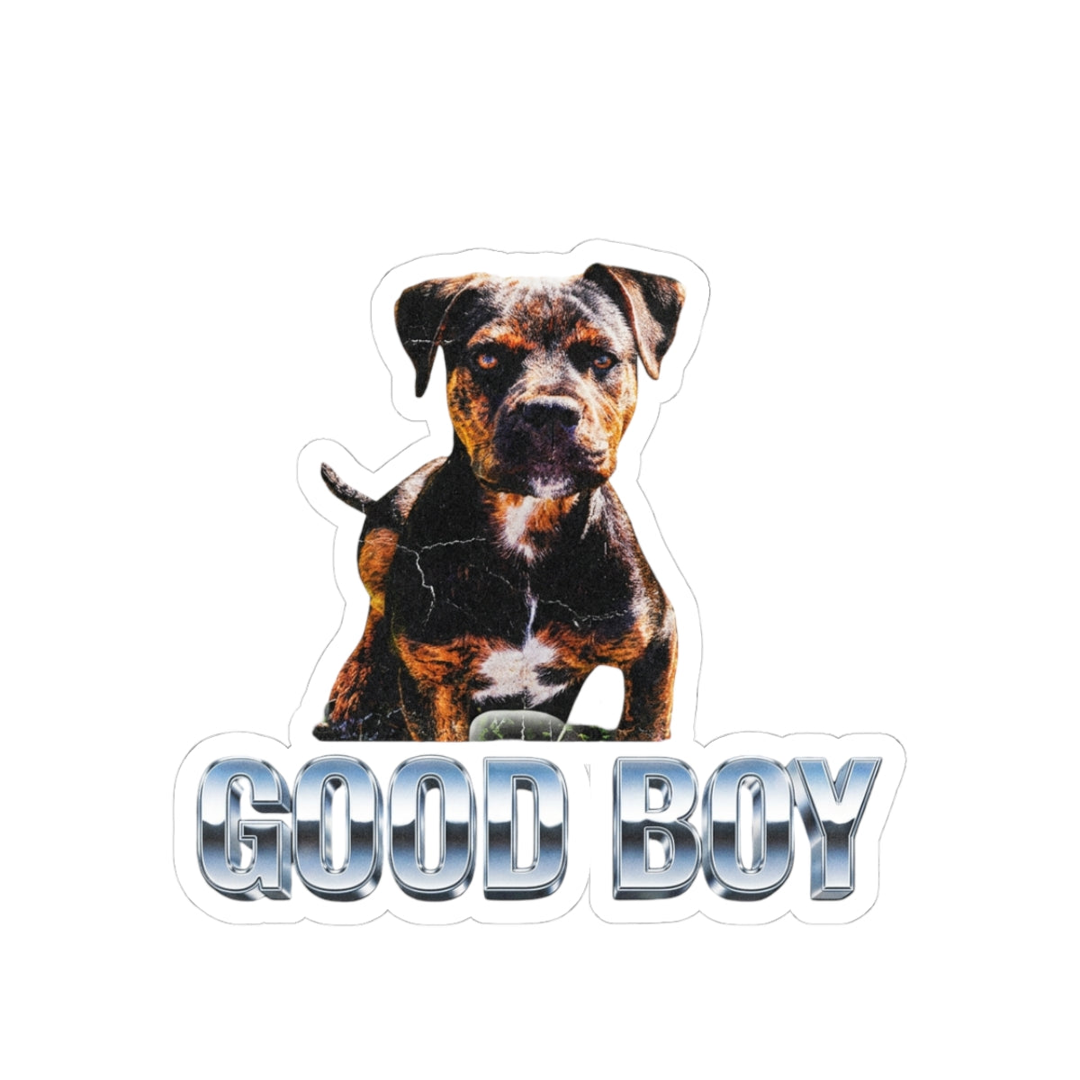 Good Boy