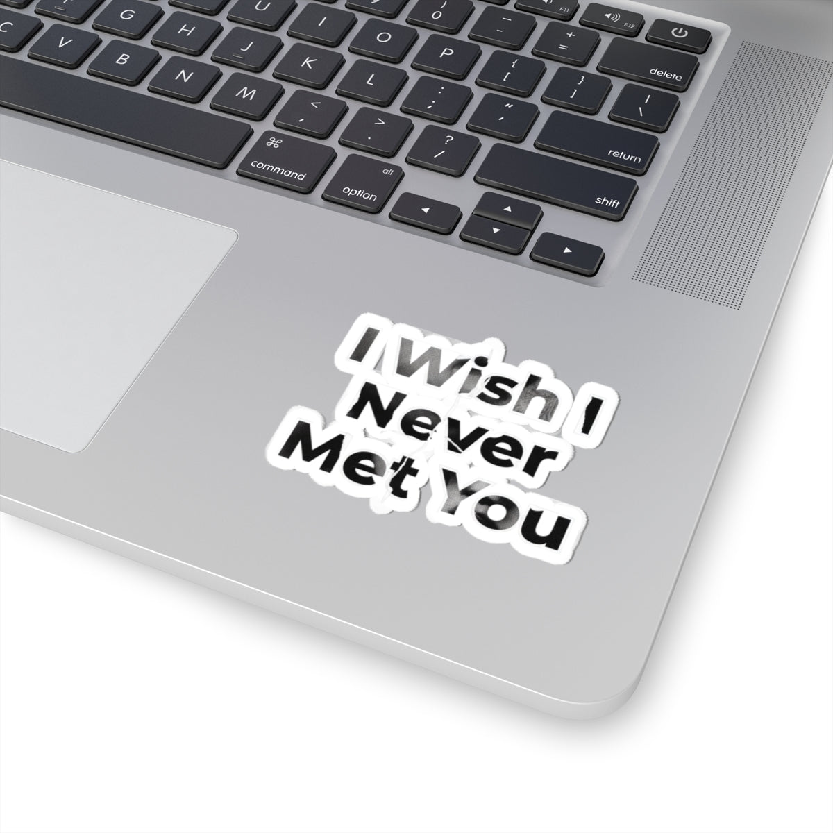 I Wish I Never Met You
