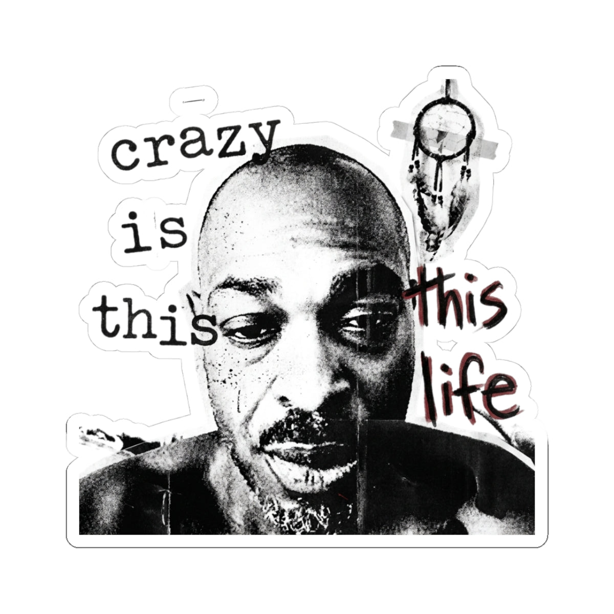 crazy is this life