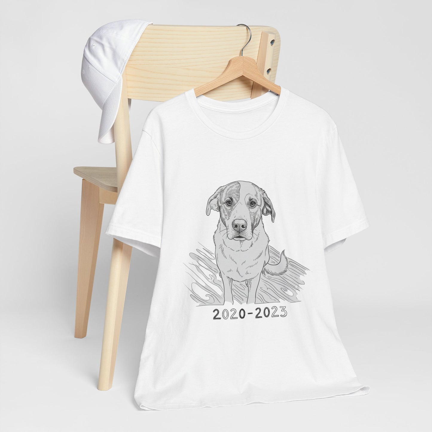 2020-2023