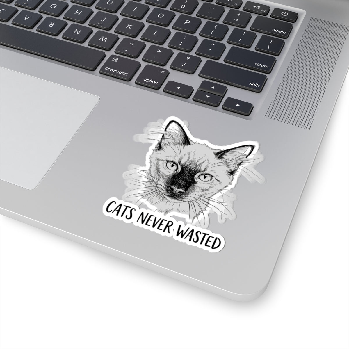 Cats Never Wasted