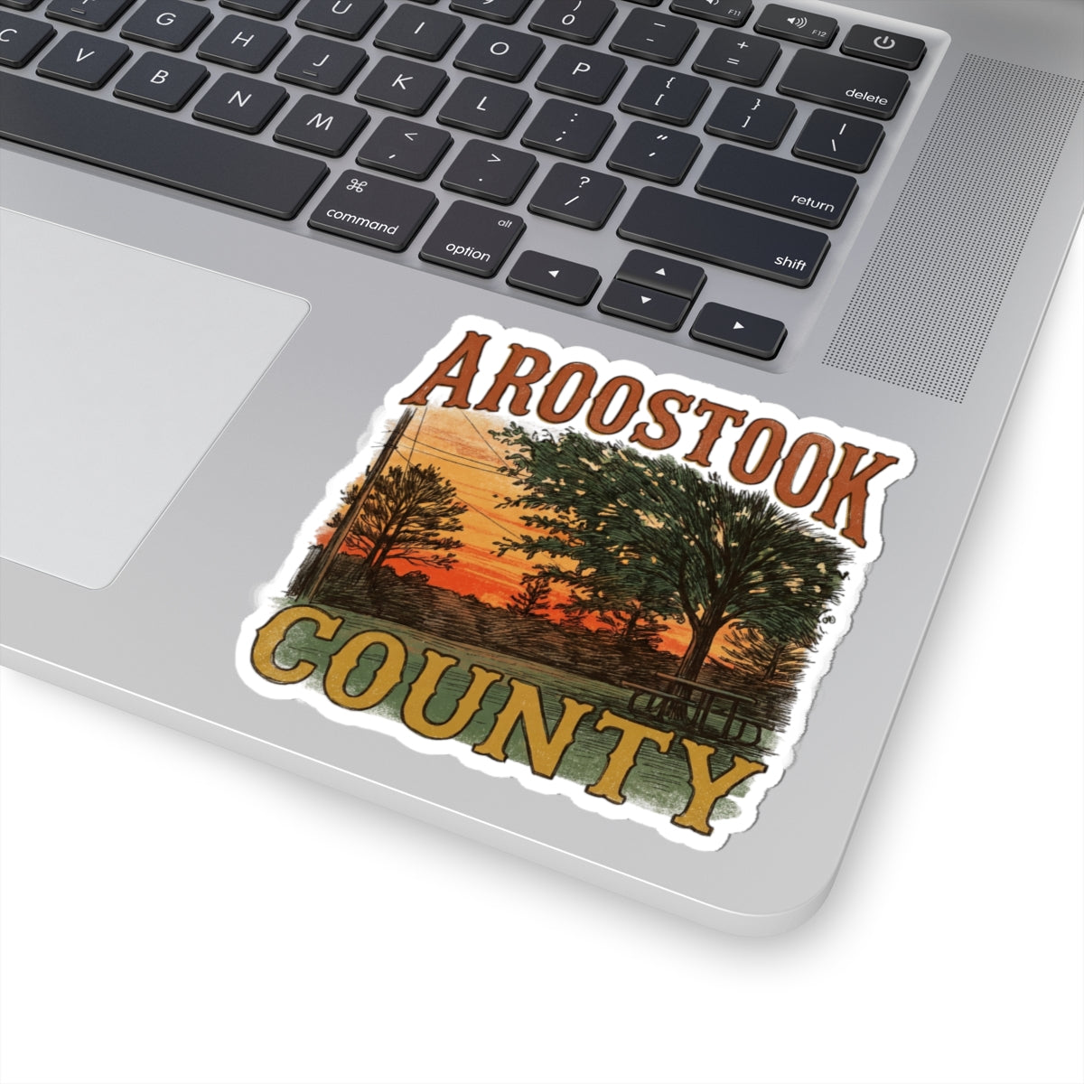 Aroostook County