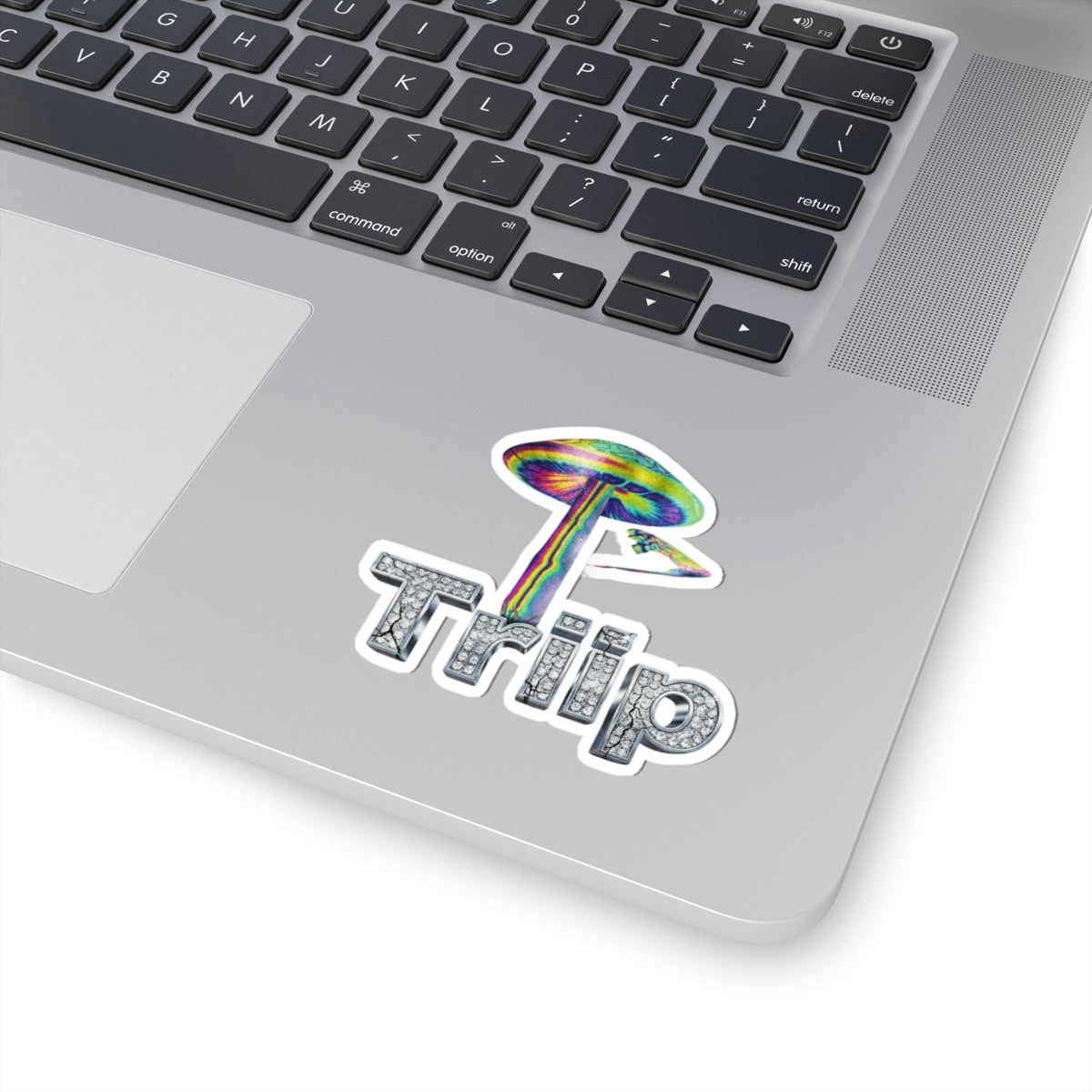 Triip