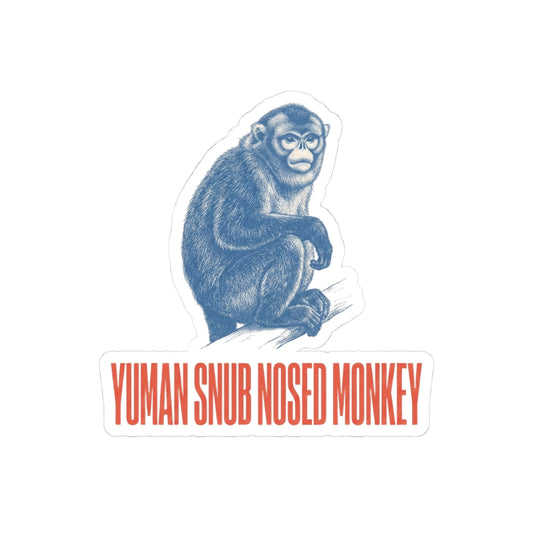 Yuman Snub Nosed Monkey