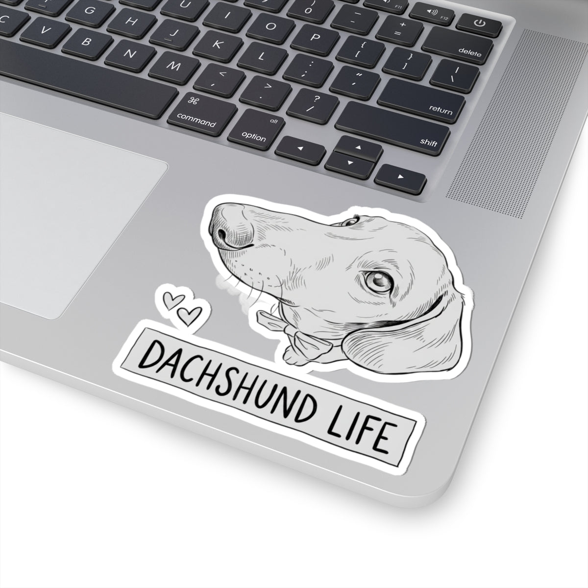 Dachshund Life