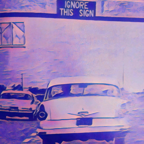 Mona*s music carousel