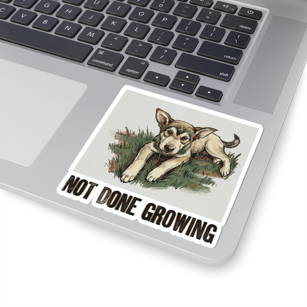 Not Done Growing
