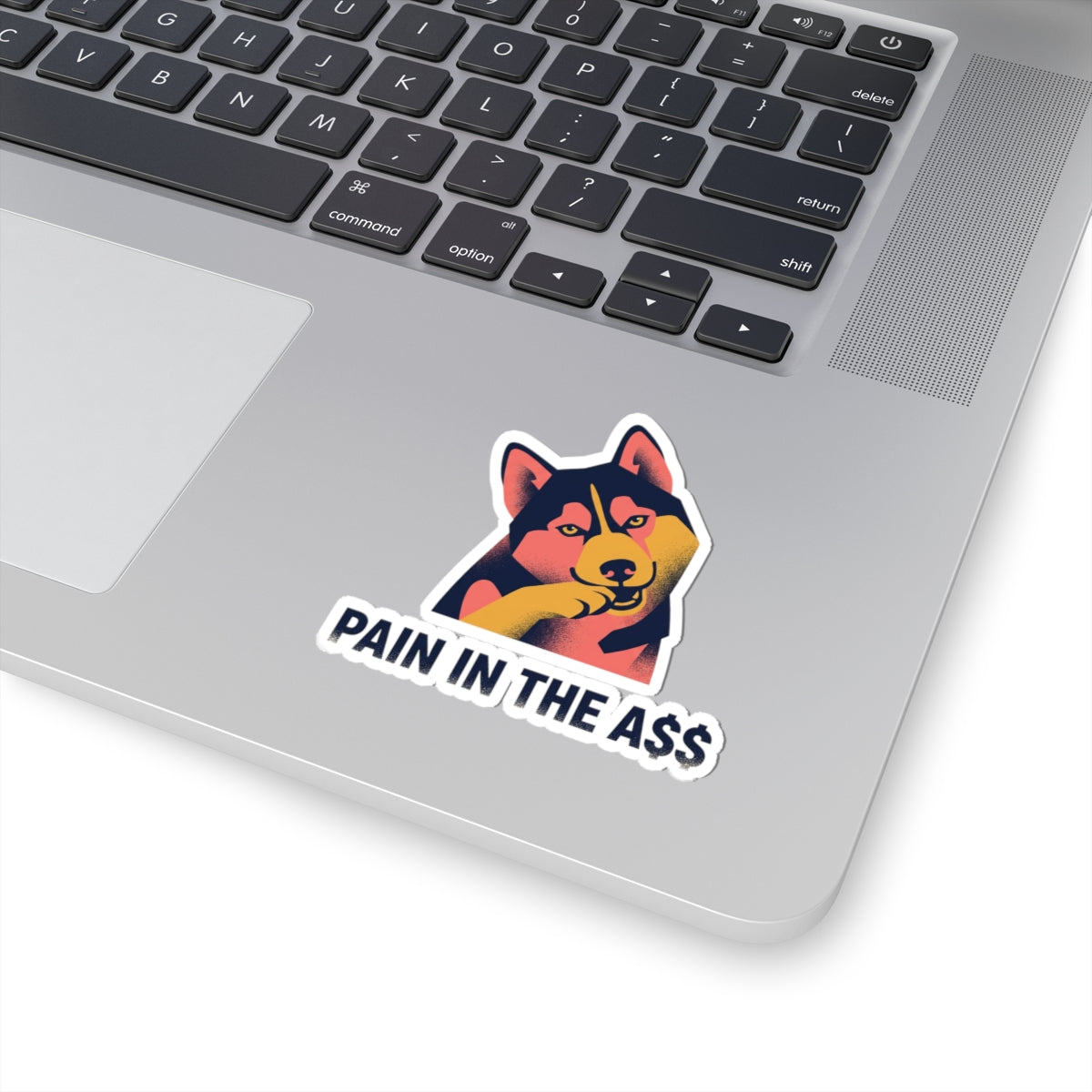Pain In The A$$