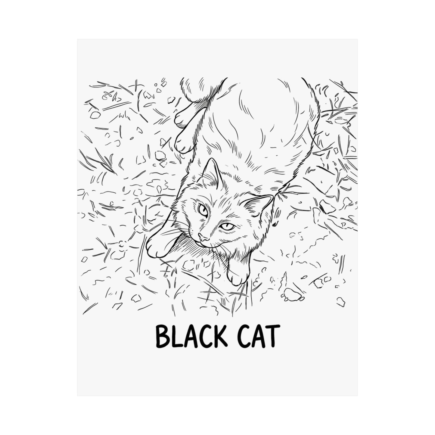 Black Cat