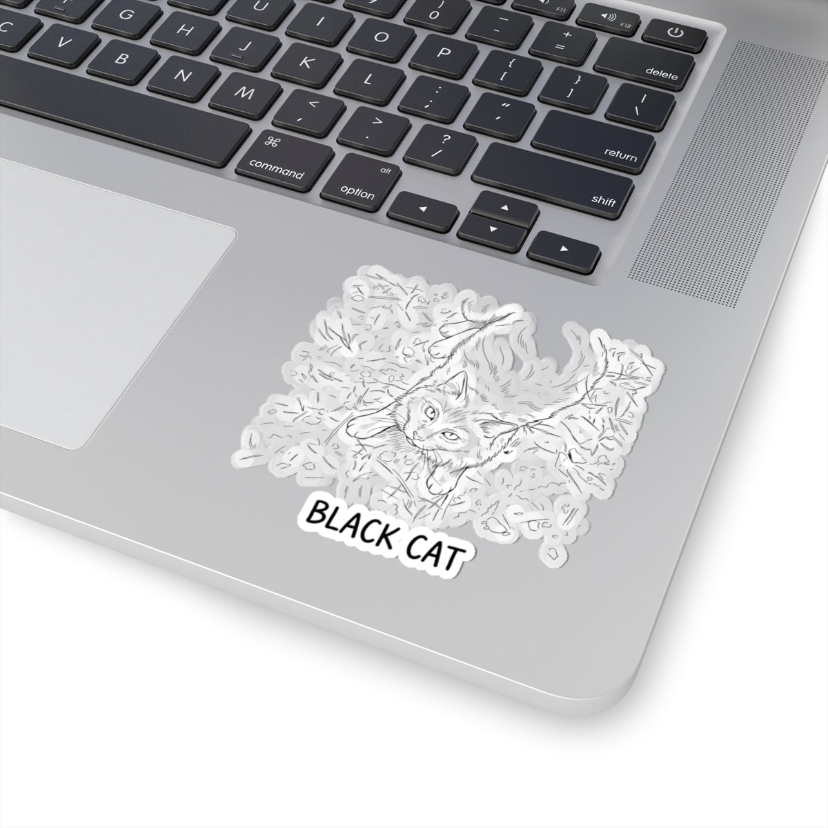 Black Cat