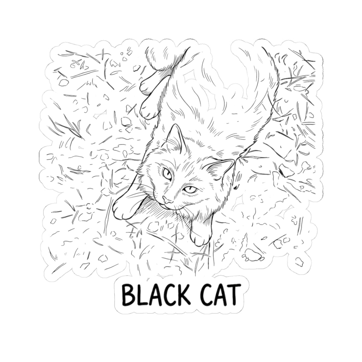 Black Cat