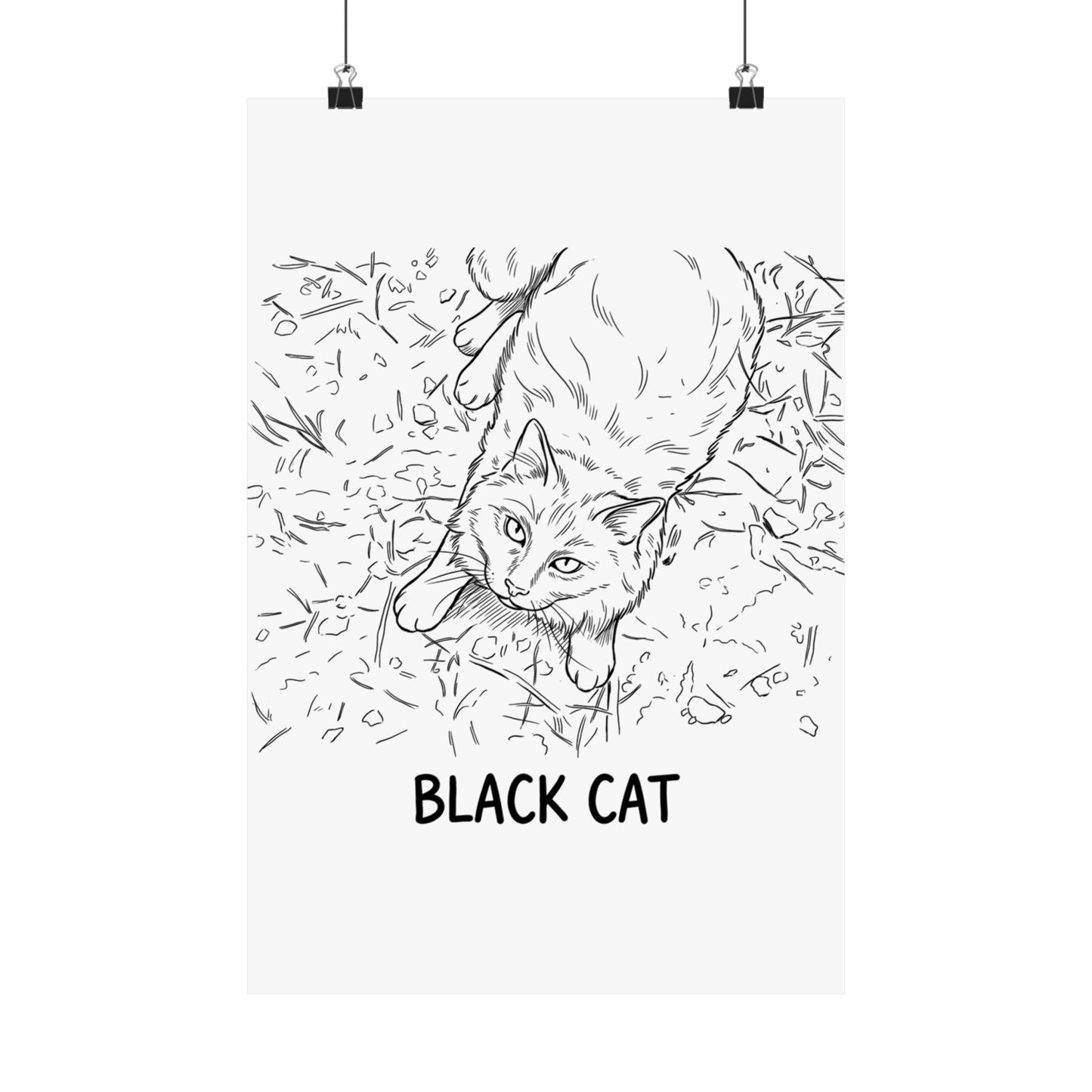 Black Cat