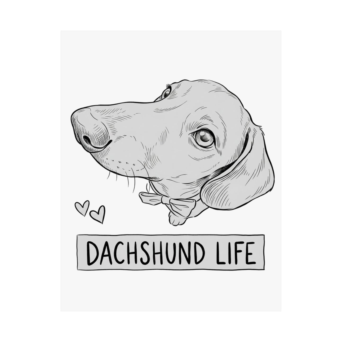Dachshund Life