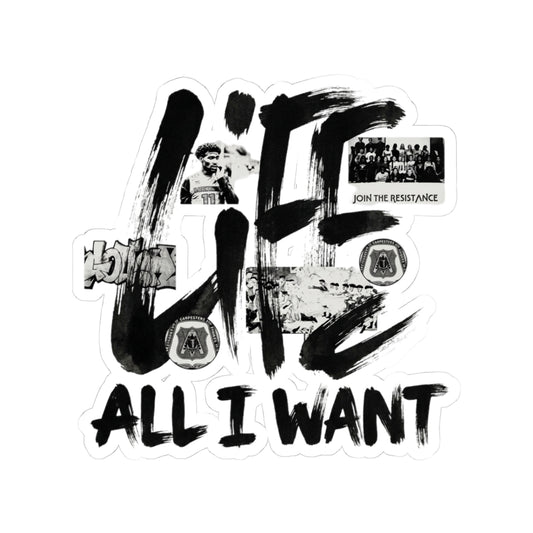 ALL I WANT