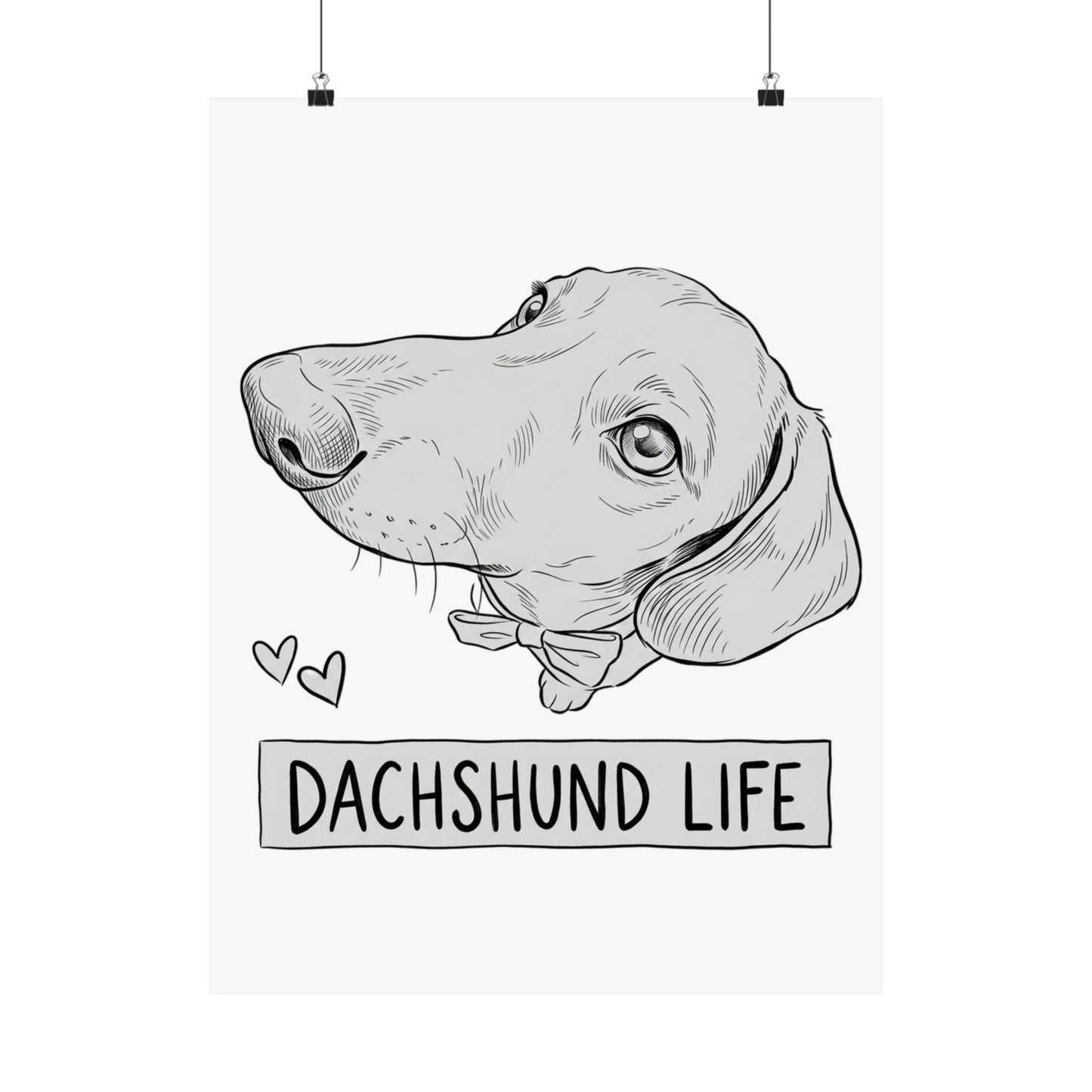 Dachshund Life