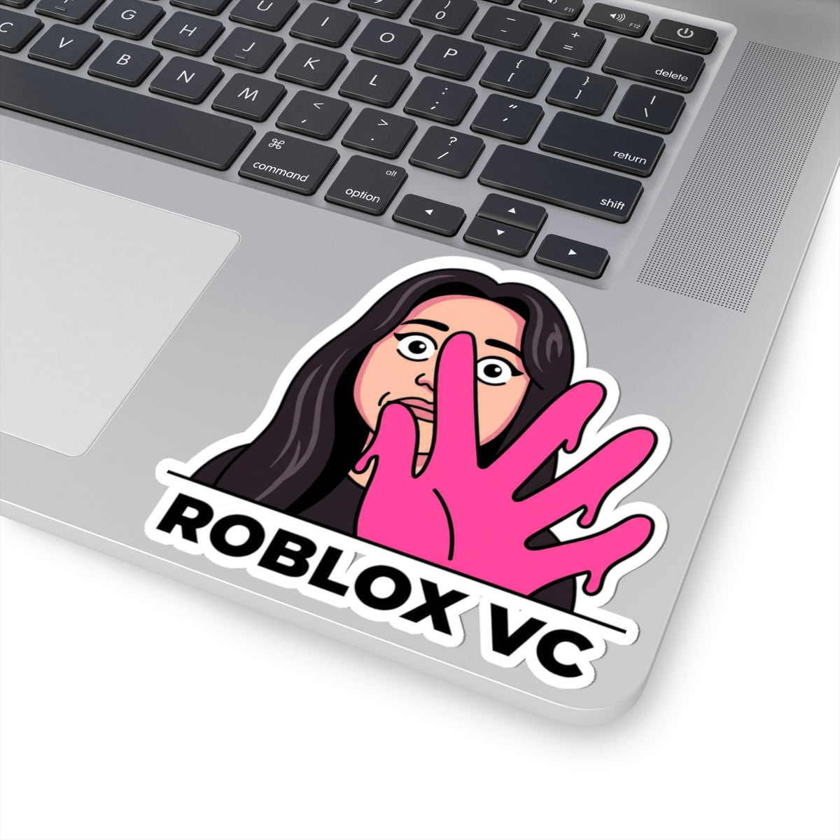 Roblox VC