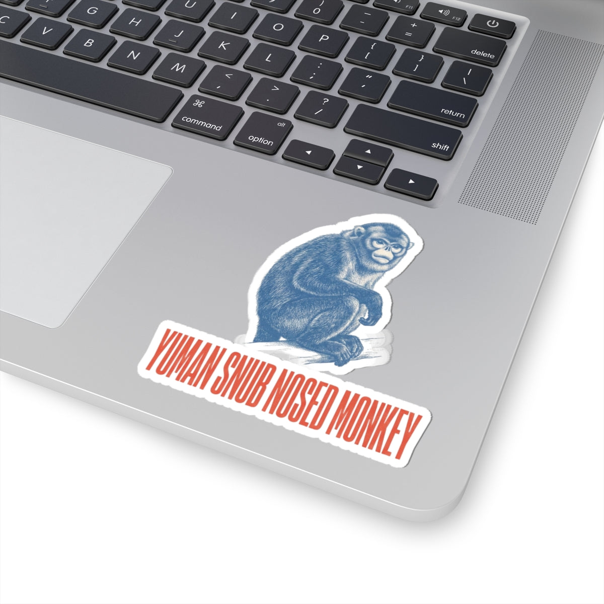 Yuman Snub Nosed Monkey