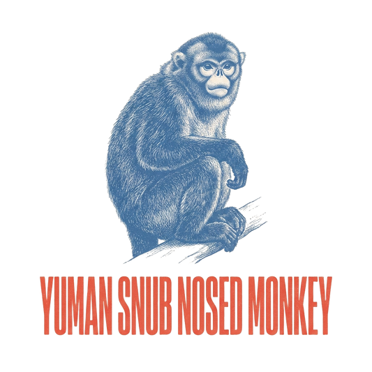 Yuman Snub Nosed Monkey