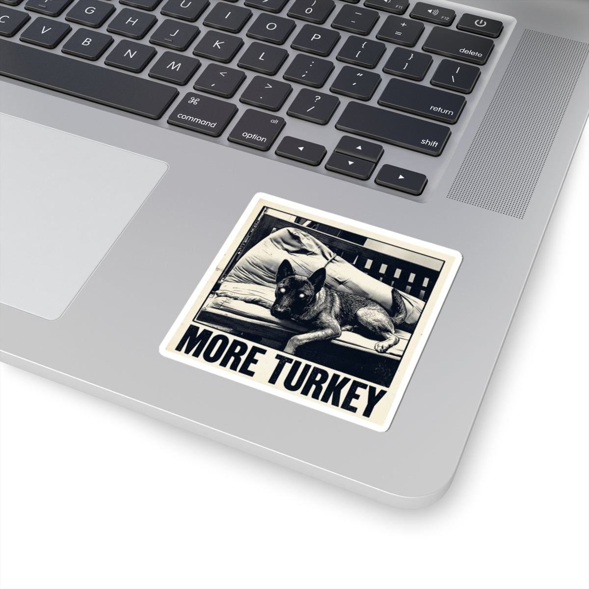 More Turkey