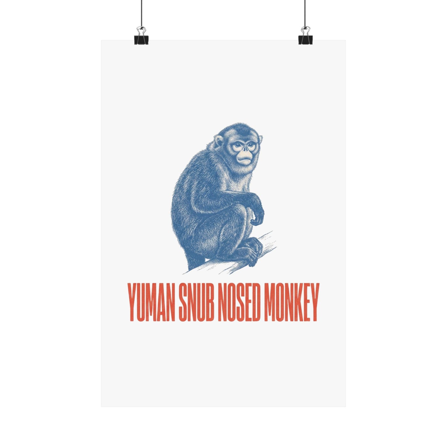 Yuman Snub Nosed Monkey