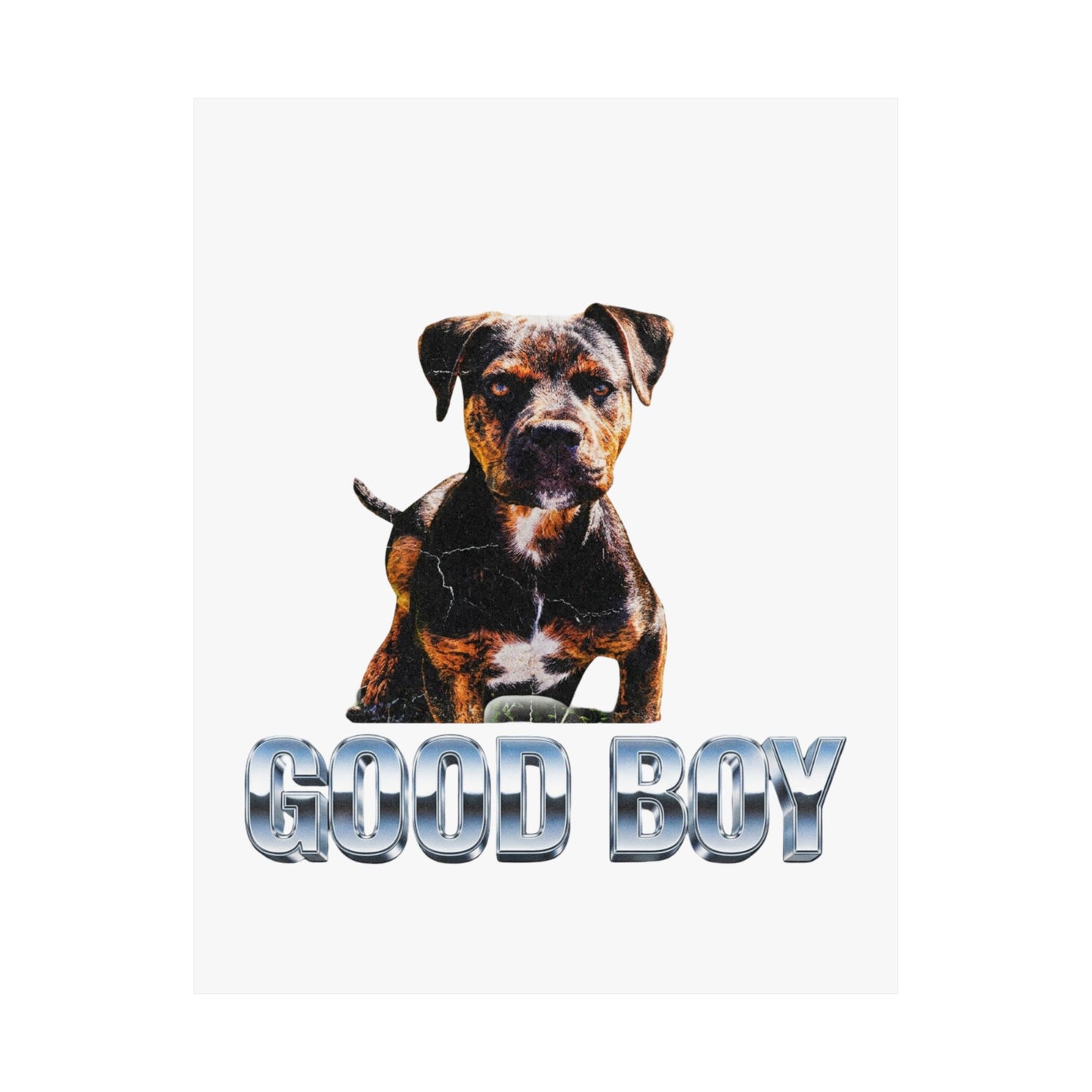 Good Boy