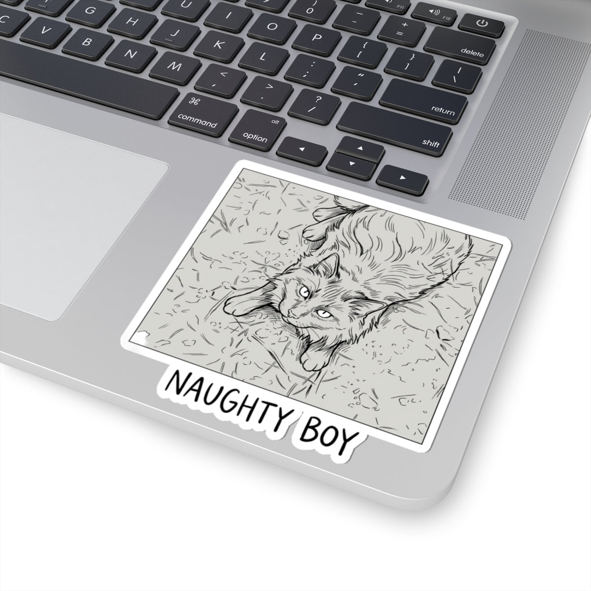 Naughty Boy