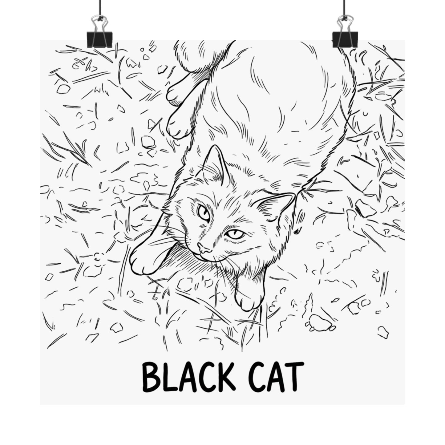 Black Cat