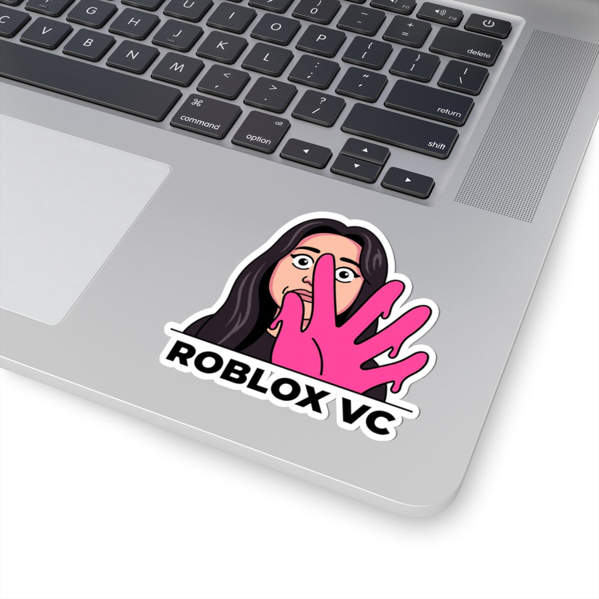 Roblox VC