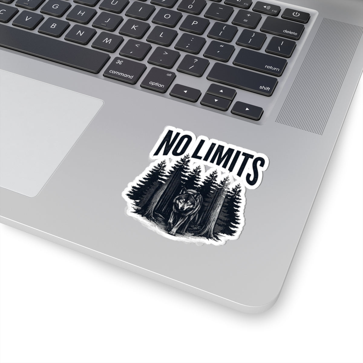 No Limits