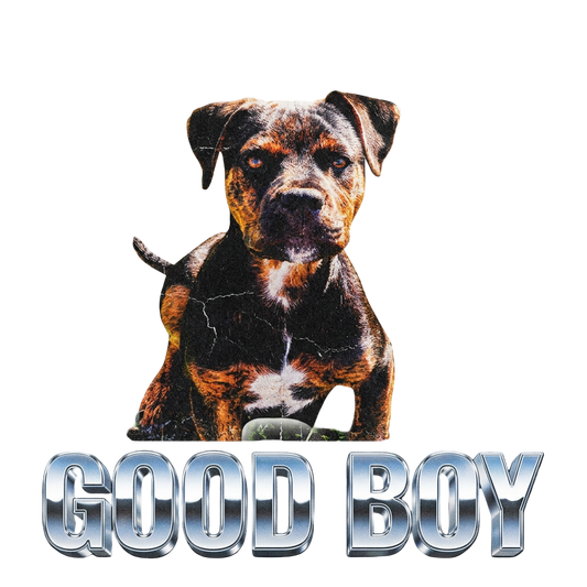 Good Boy