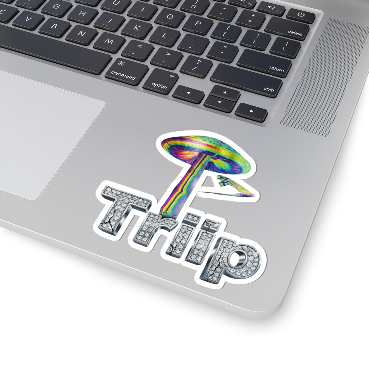 Triip
