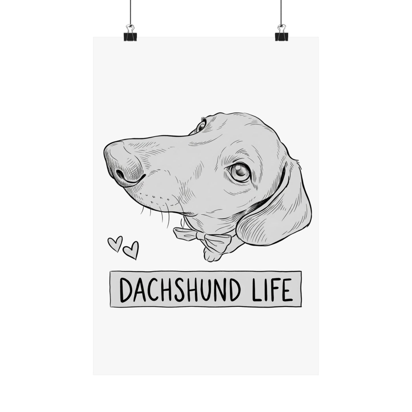 Dachshund Life