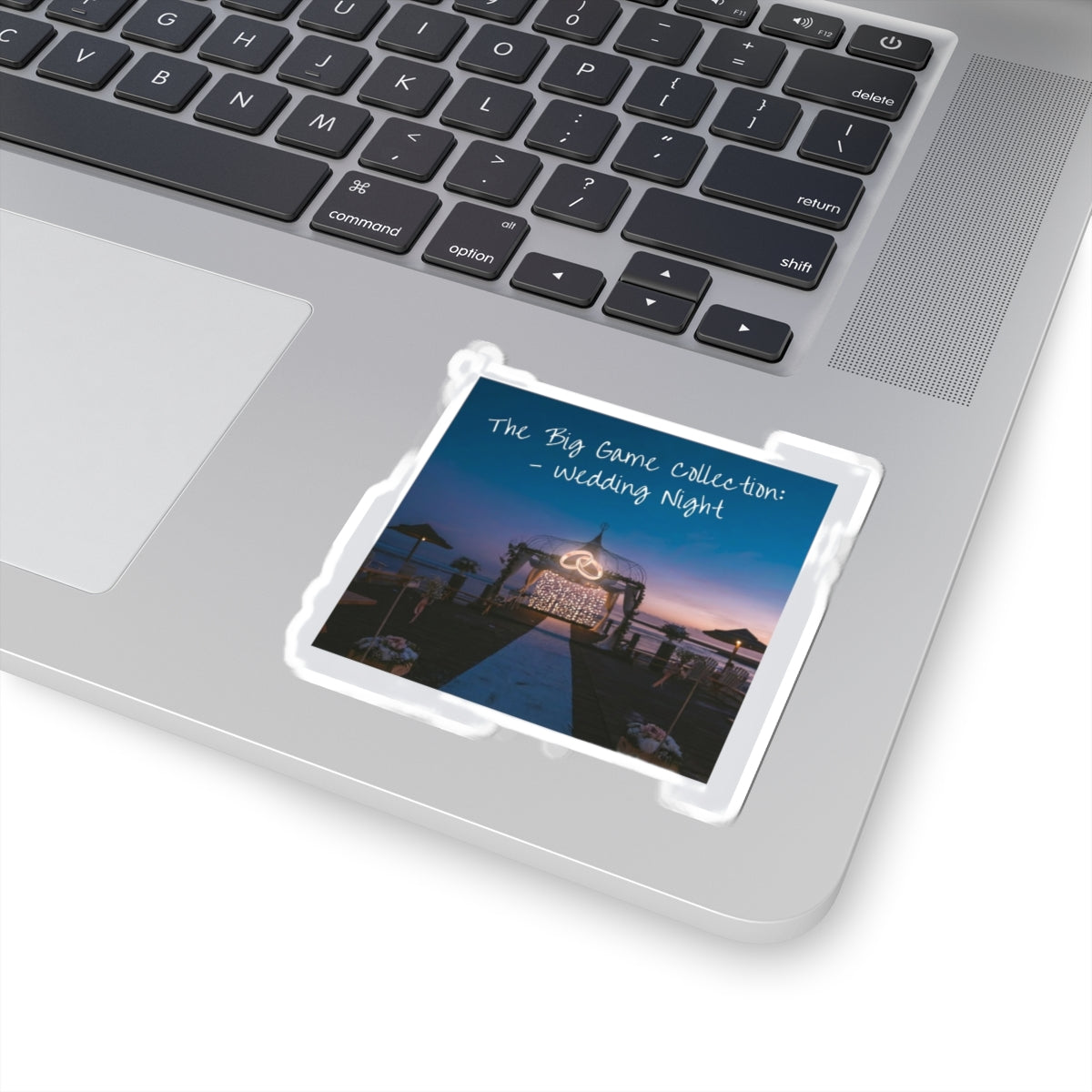 The Big Game Collection: Wedding Night