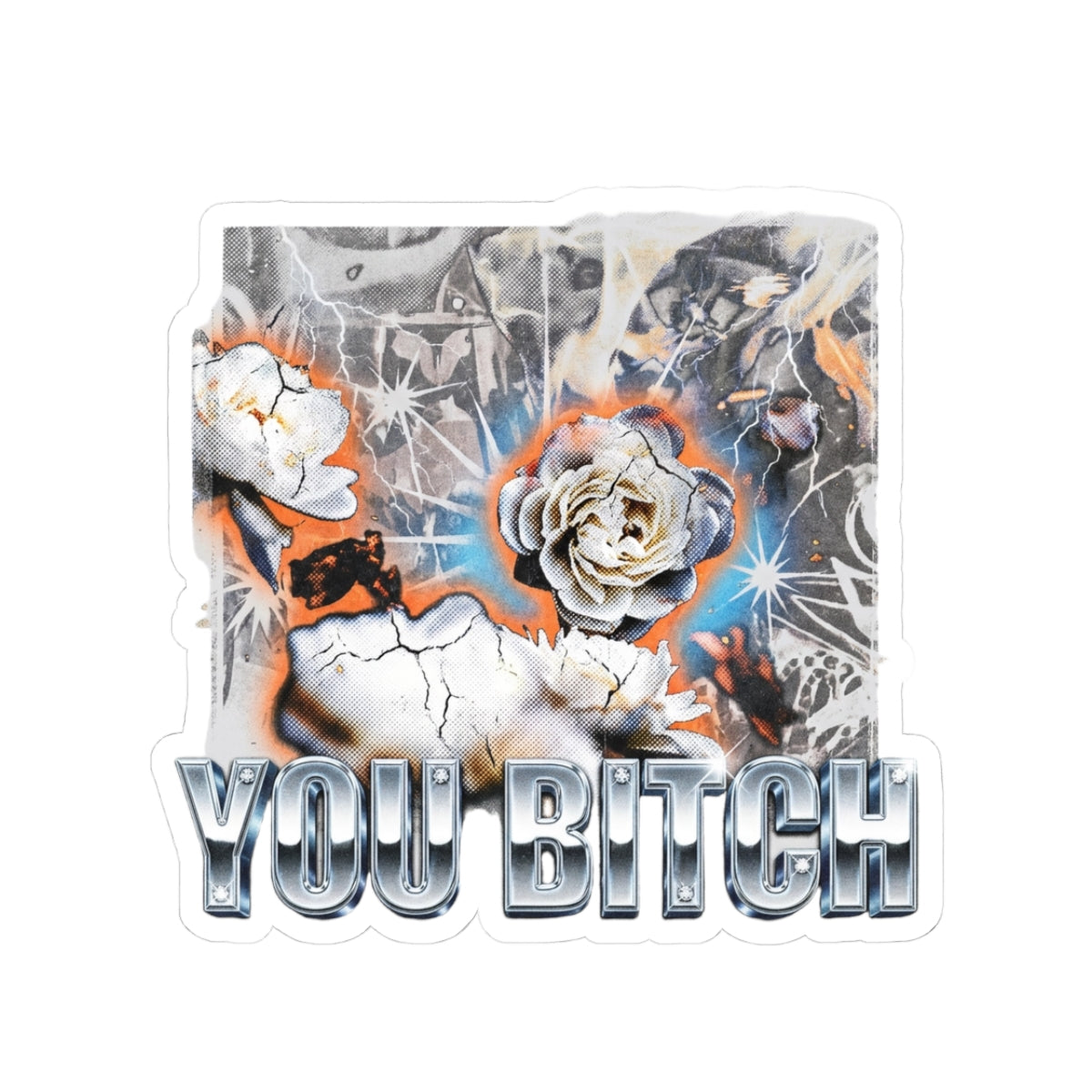 You Bitch