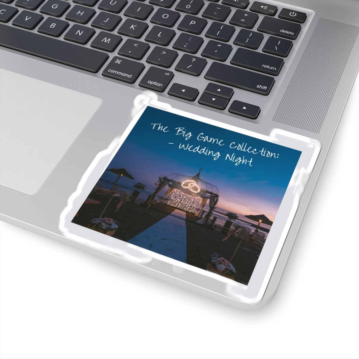 The Big Game Collection: Wedding Night